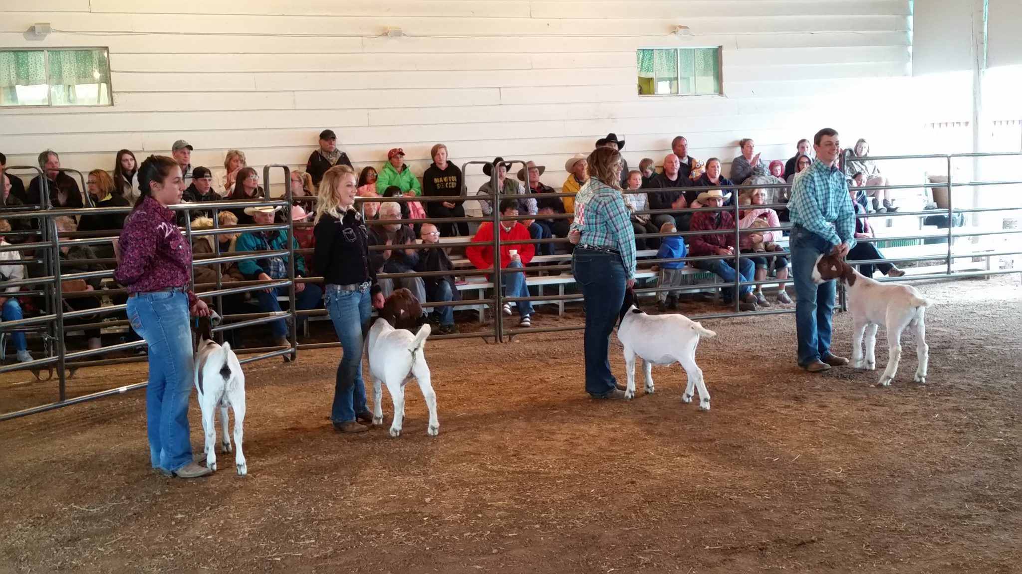 County Fair Teller County Extension