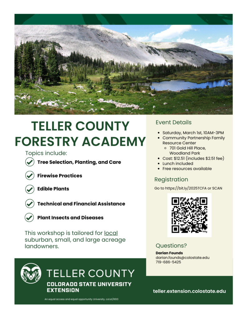 Teller County Forestry Academy